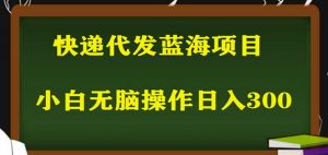 2023最新蓝海快递代发项目，小白零成本照抄也能日入300+-如意资源库