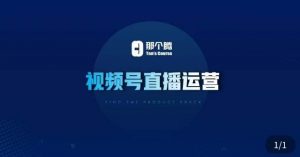 那个腾·视频号直播运营,视频号直播推流逻辑/流量渠道解析/直播起号攻略/直播实操技巧-如意资源库