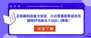 正规暴利流量卡项目，小白零基础零成本无脑照抄也能日入300+【揭秘】-如意资源库