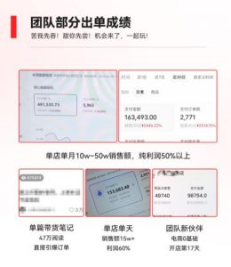 2023小红书电商火爆全网，新晋红利，风口项目，单店收益在3000-30000！-如意资源库