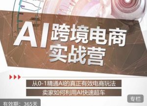 白龙老师·AI跨境电商实战营：从0-1精通Al的真正有效电商玩法，卖家如何利用Al快速超车-如意资源库