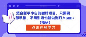 适合新手小白的搬砖项目,只需要一部手机、不用引流也能做到日入300+【揭秘】-如意资源库