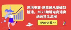 跨境电商-速卖通从基础到精通，2023跨境电商速卖通运营全流程-如意资源库