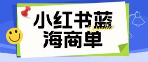 价值2980的小红书商单项目暴力起号玩法,一单收益200-300(可批量放大)-如意资源库