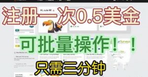 国外项目注册一次0.5美金,只需三分钟无脑操作,可批量同时放大操作,小白工作室福利【揭秘】-如意资源库