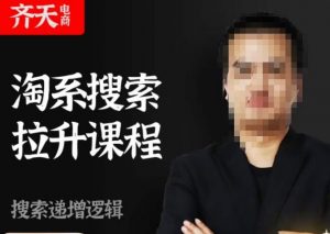 齐天电商·淘系搜索提升课程,搜索递增标准化,动销标准化流程-如意资源库