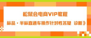 松鼠会电商VIP教程:松鼠《付费推广标品·半标直通车操作针对性答疑&诊断》-如意资源库