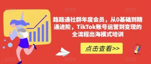 路路通社群年度会员，从0基础到精通进阶，TikTok账号运营到变现的全流程出海模式培训-如意资源库