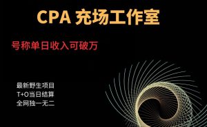 cpa充场工作室,号称单日收入10000+(揭秘)-如意资源库