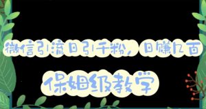 微信互推圈半自动引流方案,矩阵操作日引千人思路【详细视频教程】-如意资源库