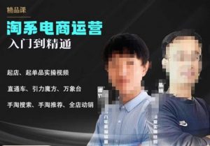 2023手淘搜索实操课+体系化课程,起店起单品实操视频课程-如意资源库