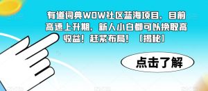 有道词典WOW社区蓝海项目,目前高速上升期,新人小白都可以换取高收益!赶紧布局!【揭秘】-如意资源库