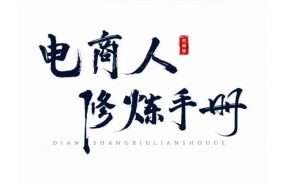 照顾酱·电商人修炼手册,从0到1,手把手教你理解淘宝运营底层逻辑-如意资源库