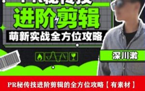 PR进阶剪辑培训班,让你快速成为剪辑大师12节视频课程+素材!-如意资源库