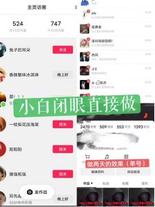 一天做完别一辈子的视频制作最近很火的《1000个野路子信息差》100%过原创【揭秘】-如意资源库