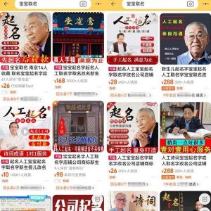 拆解小红书宝宝起名虚拟副业项目,一条龙实操玩法分享给你(教程+软件)-如意资源库