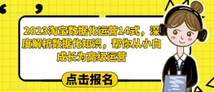 2023淘宝数据化运营14式,深度解析数据化知识,帮你从小白成长为高级运营-如意资源库