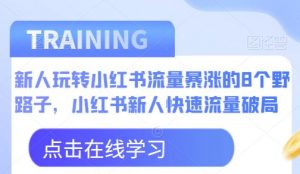 新人玩转小红书流量暴涨的8个野路子,小红书新人快速流量破局-如意资源库