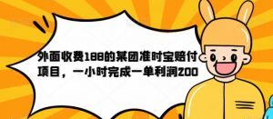 外面收费188的美团准时宝赔付项目,一小时完成一单利润200【仅揭秘】-如意资源库