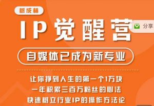 树成林·IP觉醒营,快速树立行业IP的操作方法论,让你赚到人生的第一个1万块-如意资源库