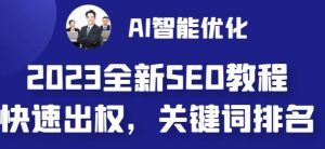 2023最新网站AI智能优化SEO教程，简单快速出权重，AI自动写文章+AI绘画配图-如意资源库