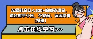 4个冷门副业思路玩法,从0到1,闷声发财,让你实现财富自由【揭秘】-如意资源库