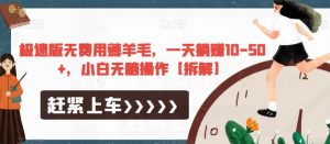 极速版无费用薅羊毛，一天躺赚10-50+，小白无脑操作【拆解】-如意资源库