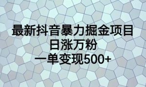 最新抖音暴力掘金项目,日涨万粉,一单变现500+【揭秘】-如意资源库