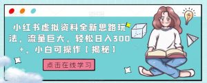 小红书虚拟资料全新思路玩法,流量巨大,轻松日入300+,小白可操作【揭秘】-如意资源库