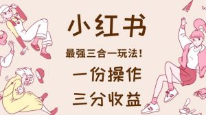 小红书最强三合一玩法，一份操作获得三份收益！【揭秘】-如意资源库