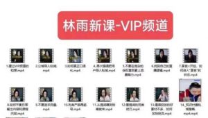 林雨新课VIP频道，玩赚私域/朋友圈/社群-如意资源库