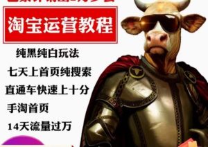 猫老师·淘系算法逆向解密,纯黑纯白玩法,七天上首页纯搜索,手淘首页14天流量过万-如意资源库
