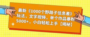 最新《1000个野路子信息差》玩法，文字视频，单个作品暴粉5000+，小白轻松上手【揭秘】-如意资源库
