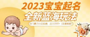 2023宝宝起名全新蓝海玩法,冷门暴力小白实操,日入1000+(全套教程)【揭秘】-如意资源库