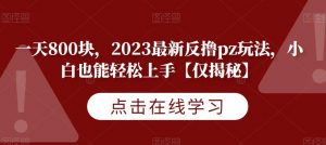 一天800块，2023最新反撸pz玩法，小白也能轻松上手【仅揭秘】-如意资源库