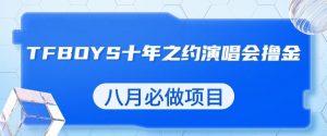 最新蓝海项目，靠最近非常火的TFBOYS十年之约演唱会流量掘金，八月必做的项目【揭秘】-如意资源库