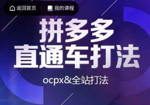 互力·拼多多直通车打法,ocpx&全站打法-如意资源库