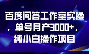 百度问答工作室实操,单号月产3000+,纯小白操作项目【揭秘】-如意资源库