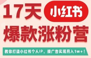 17天小红书爆款涨粉营（广告变现方向），教你打造小红书博主IP、接广告变现的-如意资源库