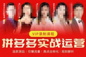 2023推易拼多多实战运营,选款测品、引爆流量、高点击转化、规则解析-如意资源库