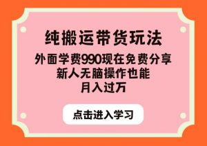 纯搬运带货玩法,外面学费990现在免费分享,新人无脑操作也能月入过万【揭秘】-如意资源库