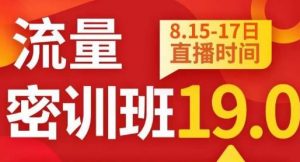 秋秋线上流量密训班19.0,打通流量关卡,线上也能实战流量破局-如意资源库