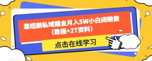 靠短剧私域掘金月入5W小白闭眼做(教程+2T资料)-如意资源库