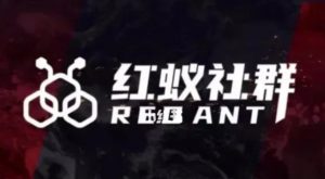 社群运营:红蚁社群【48节落地系统课程+2000人高端社群】-如意资源库