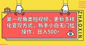 第一视角类短视频,更新多样化变现方式,新手小白无门槛操作,日入500+【揭秘】-如意资源库