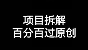 项目拆解赛道百分百过原创【揭秘】-如意资源库