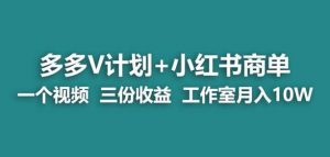 【蓝海项目】多多v计划+小红书商单一个视频三份收益工作室月入10w-如意资源库