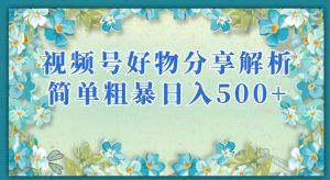 视频号好物分享解析,简单粗暴可以批量方大的项目【揭秘】-如意资源库