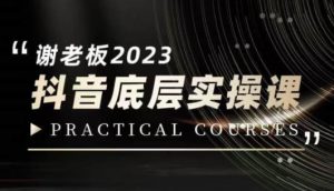 蟹老板·2023抖音底层实操课，打造短视频的底层认知-如意资源库