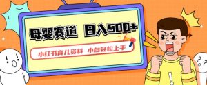 小红书育儿资料，一部手机可操作，多种变现方式，日入500+，私域变现，长期可持续项目【揭秘】-如意资源库